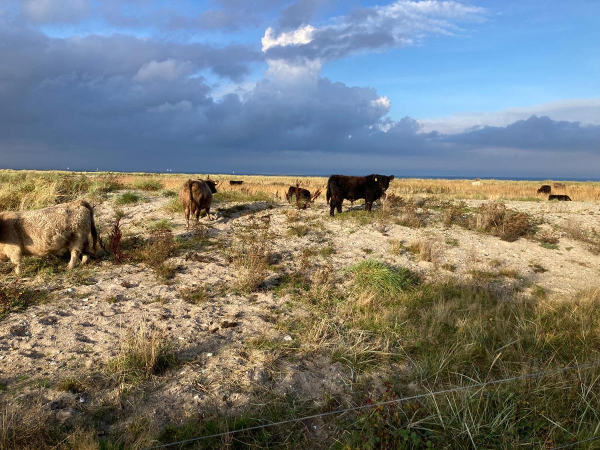 Ferienwohnungen Kapitaenskajuete & Ausguck Maasholm Exterior photo